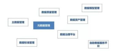 大數(shù)據(jù)治理 必備能力、關(guān)鍵技術(shù)及數(shù)據(jù)處理與存儲支持服務(wù)